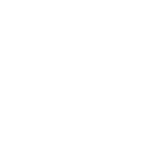 Insider Adidas