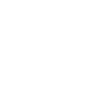 DF retail group